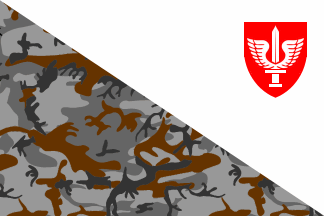 [Army Flag (Israel)]
